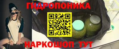 крисы Заводоуковск
