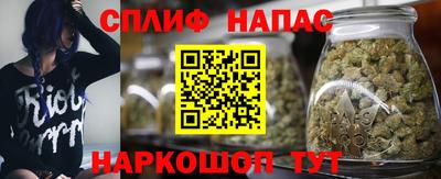 крисы Заводоуковск